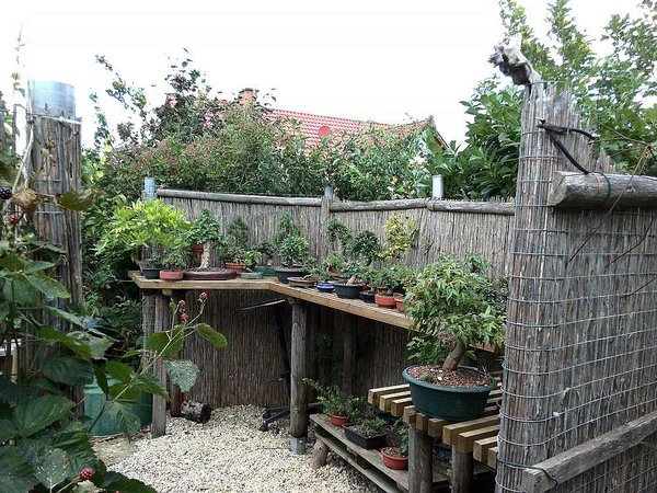 Blick in die kleine Baumschule
