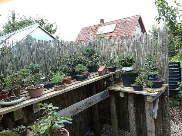 gartenIMG_20140811_134821.jpg