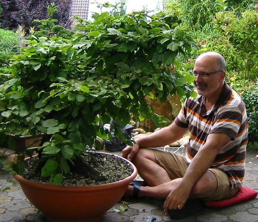 frank,garten14 (4).JPG