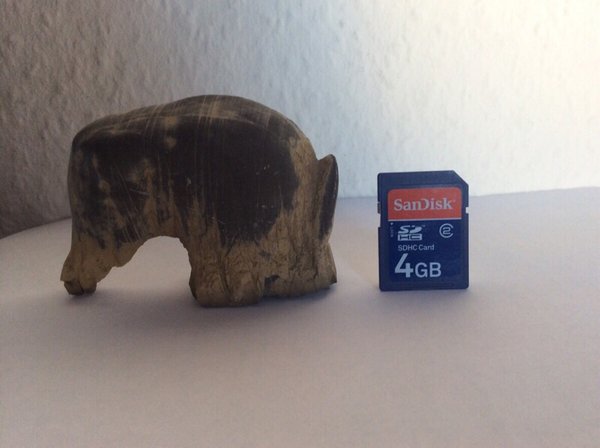 Elefant