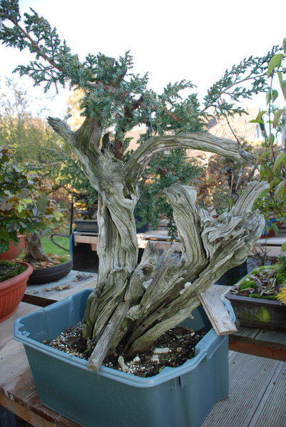 2010-10-c.jpg