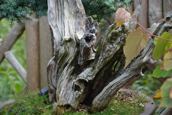 2014-08-b.jpg