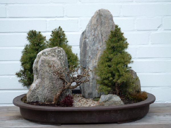 Steine vom Ostseestrand, eine Lärche aus den Alpen und drei Zuckerhutfichten, die es als Weihnachtsdekoration im Blumenladen gab.
