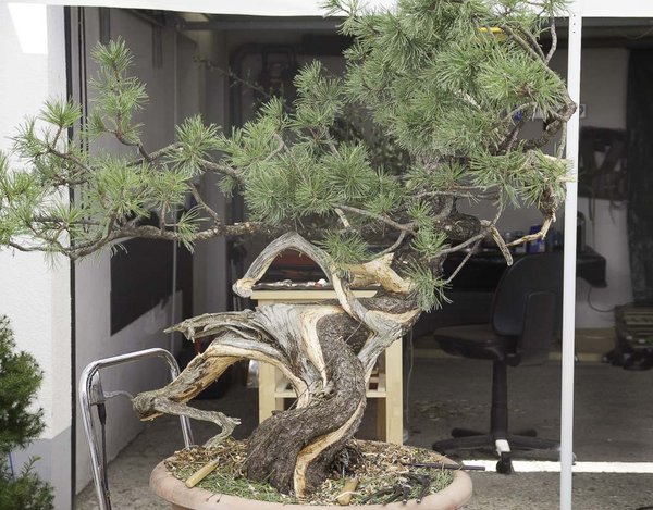 20140830-IMG_9414.jpg