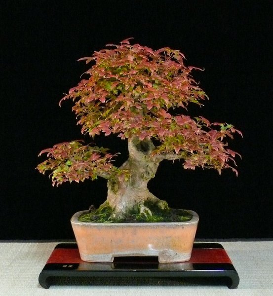 P1110323k.JPG