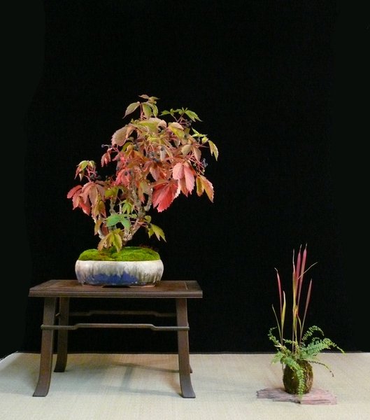 2014-09-09.JPG
