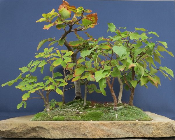 2014-09-14-a_.jpg