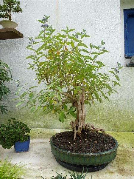 BffRätsel (3) (Individuell).JPG