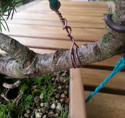 2014-09-20 14.45.29.jpg