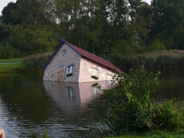 Kein Hochwasseropfer, sondern Kunst im Schwanenteich