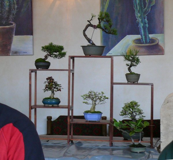 P1110410k.JPG