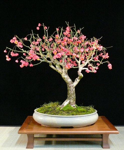 P1110634k.JPG