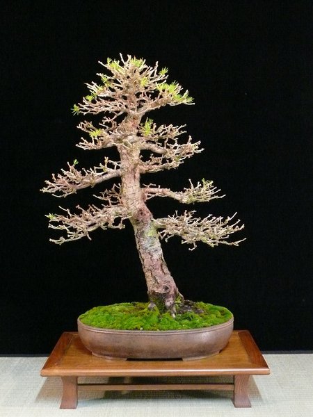 P1110548k.JPG