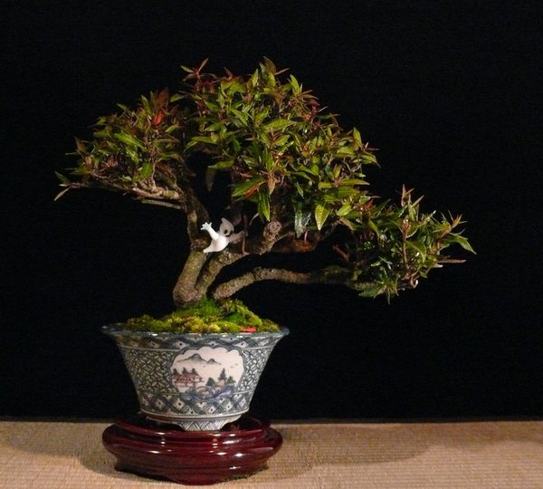 P1110667k.JPG