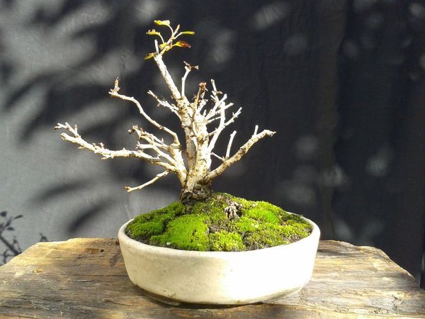 2014-10-15 12.30.55.jpg