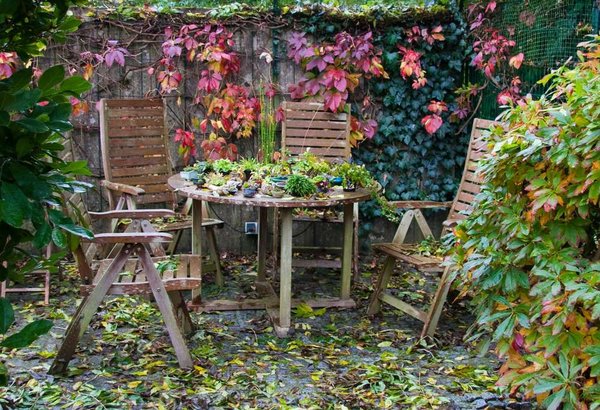 misimiez-herbst23.jpg