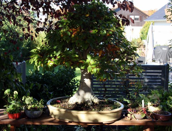 1-IMG_9720.jpg