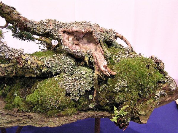 ma061.jpg