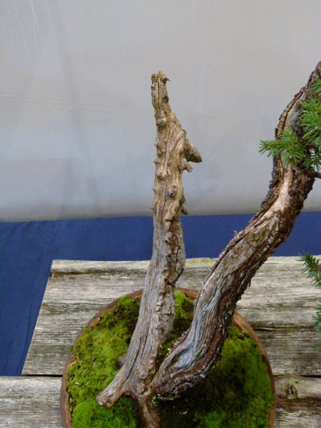 BCD Mannheim 2014 012.JPG