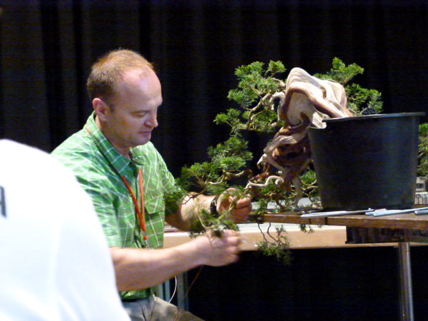 Demo von Michael Wilhelm