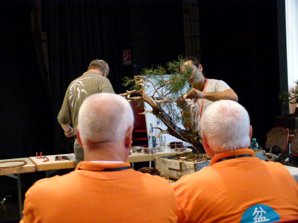 BCD Mannheim 2014 045.JPG
