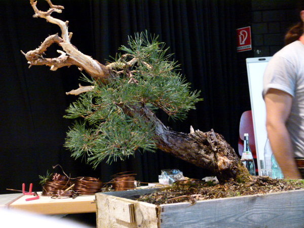 BCD Mannheim 2014 050.JPG