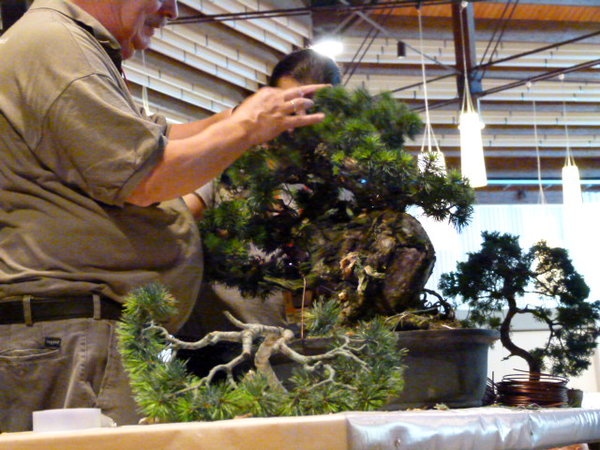 Zweiter Baum Andrea Monelli