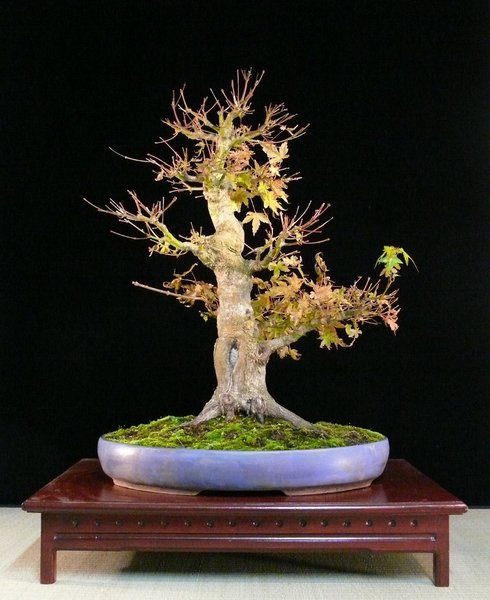 P1110730k.JPG