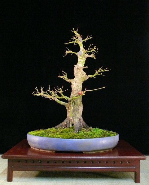 P1110738k.JPG