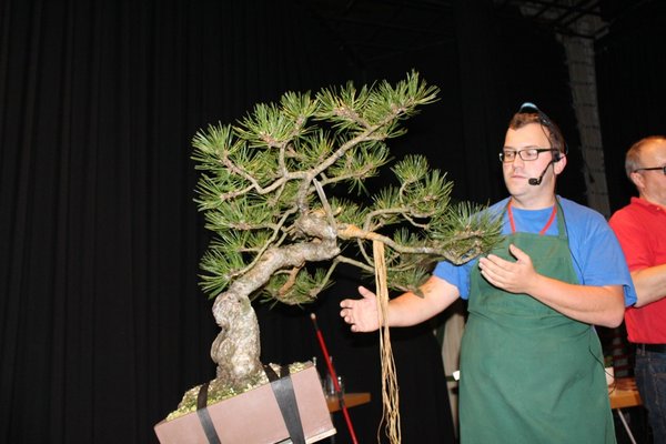 comp_2201014 146.jpg