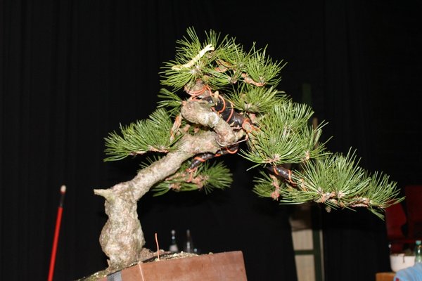 comp_2201014 158.jpg