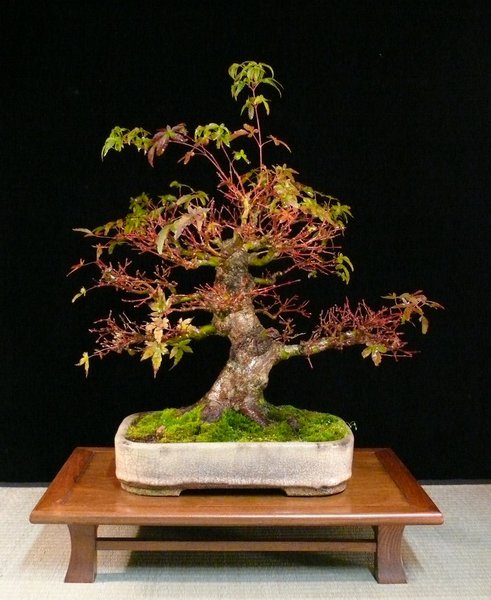P1110788k.JPG