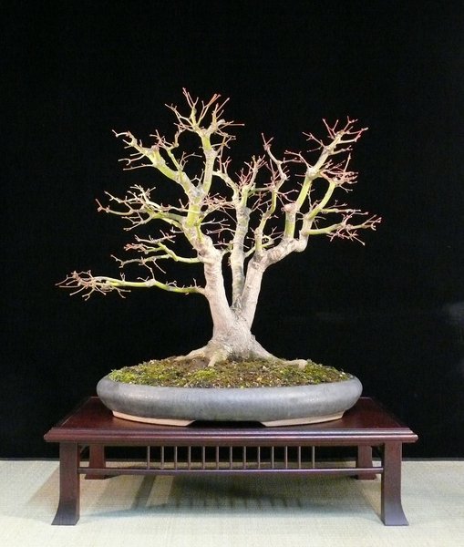 P1110797k.JPG