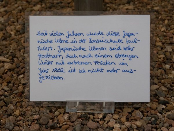 trauer und hoffnung-04.jpg