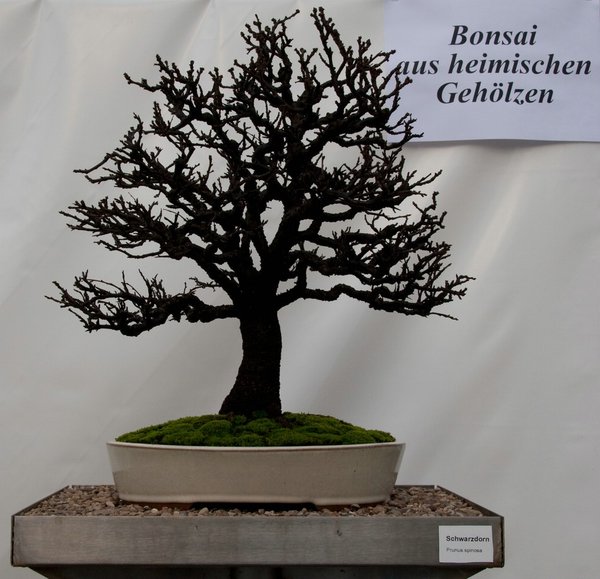 ausstellung_hermann-pieber1.jpg
