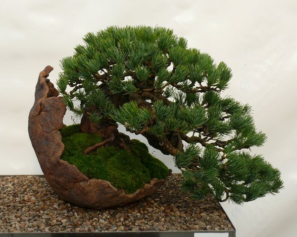 P1110846k.JPG