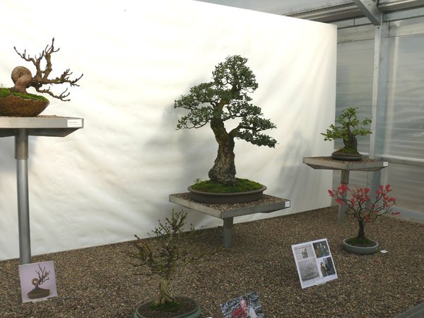 P1110847k.JPG