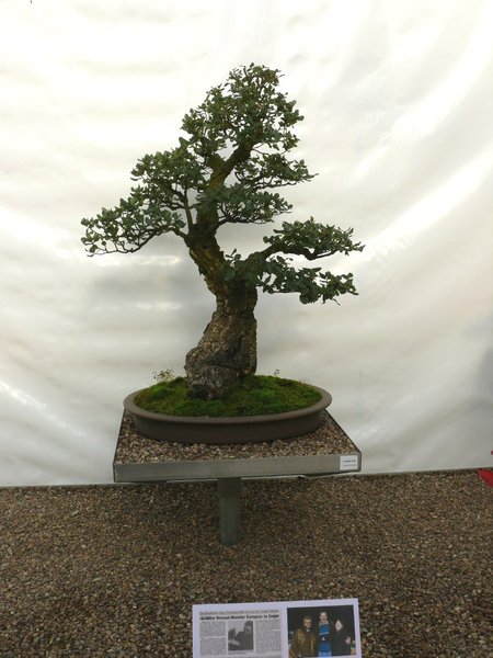 P1110848k.JPG