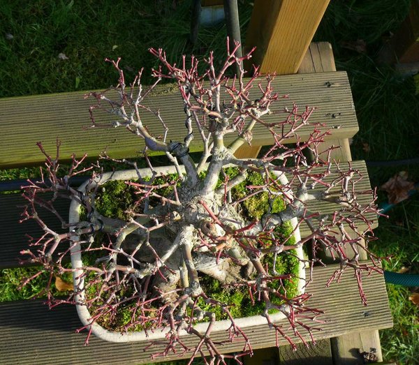 P1110875k.JPG