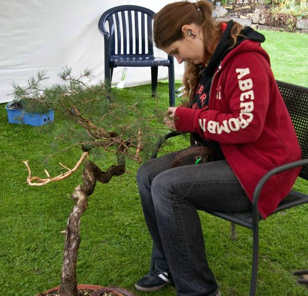 bonsai4.jpg