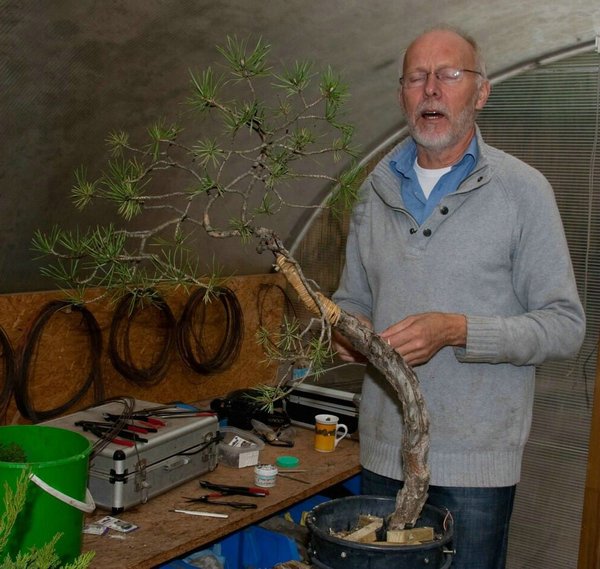 bonsai7.jpg