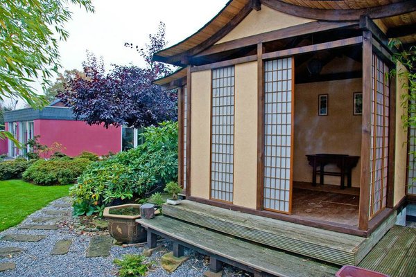 bonsai15 .jpg