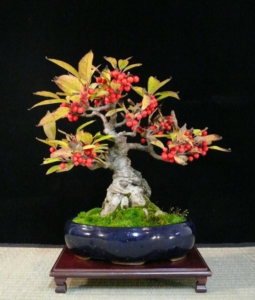 P1110927k.JPG