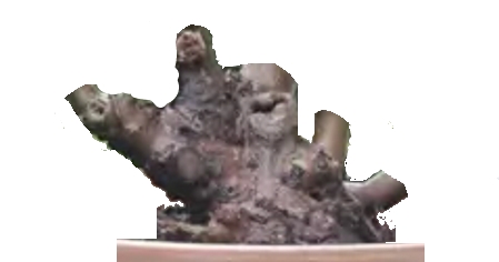 Unbenannt1.jpg
