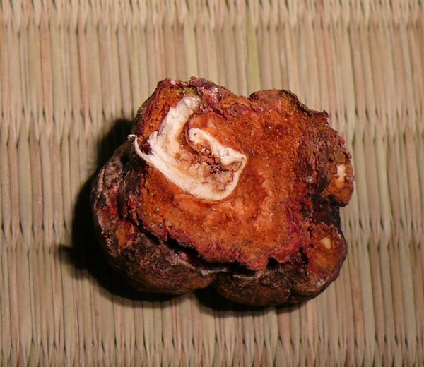 P1110948k.JPG