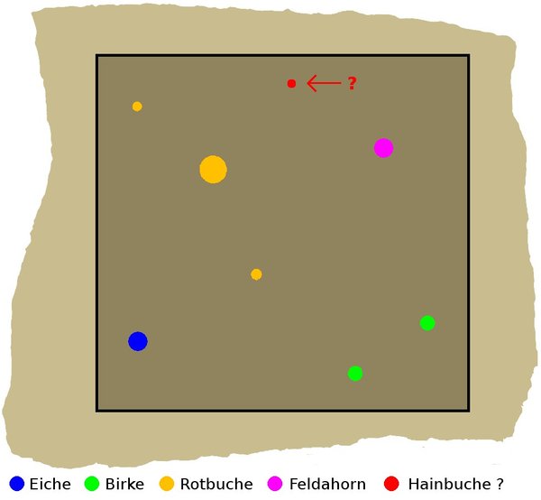 2014-11_anordnung.jpg