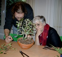 Das ist recht wenig, was von der Olive noch übrig ist