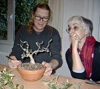 Ein Ästchen hier weg, ein Stückchen hier weg und das ist jetzt der Rest. Nicht traurig sein Heike, alle meinen der Baum hat Potential!