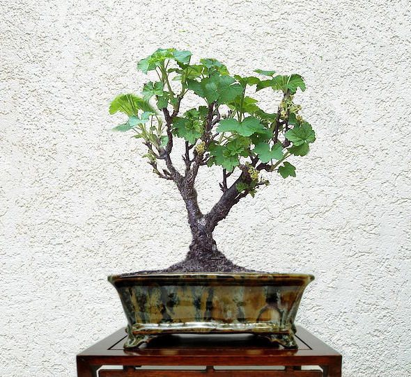 comp22102_0675.1 Kopie.jpg