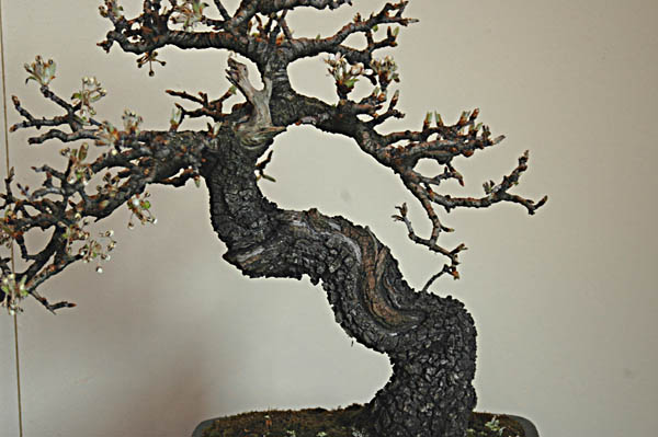 DSC_0023.beajpg.jpg